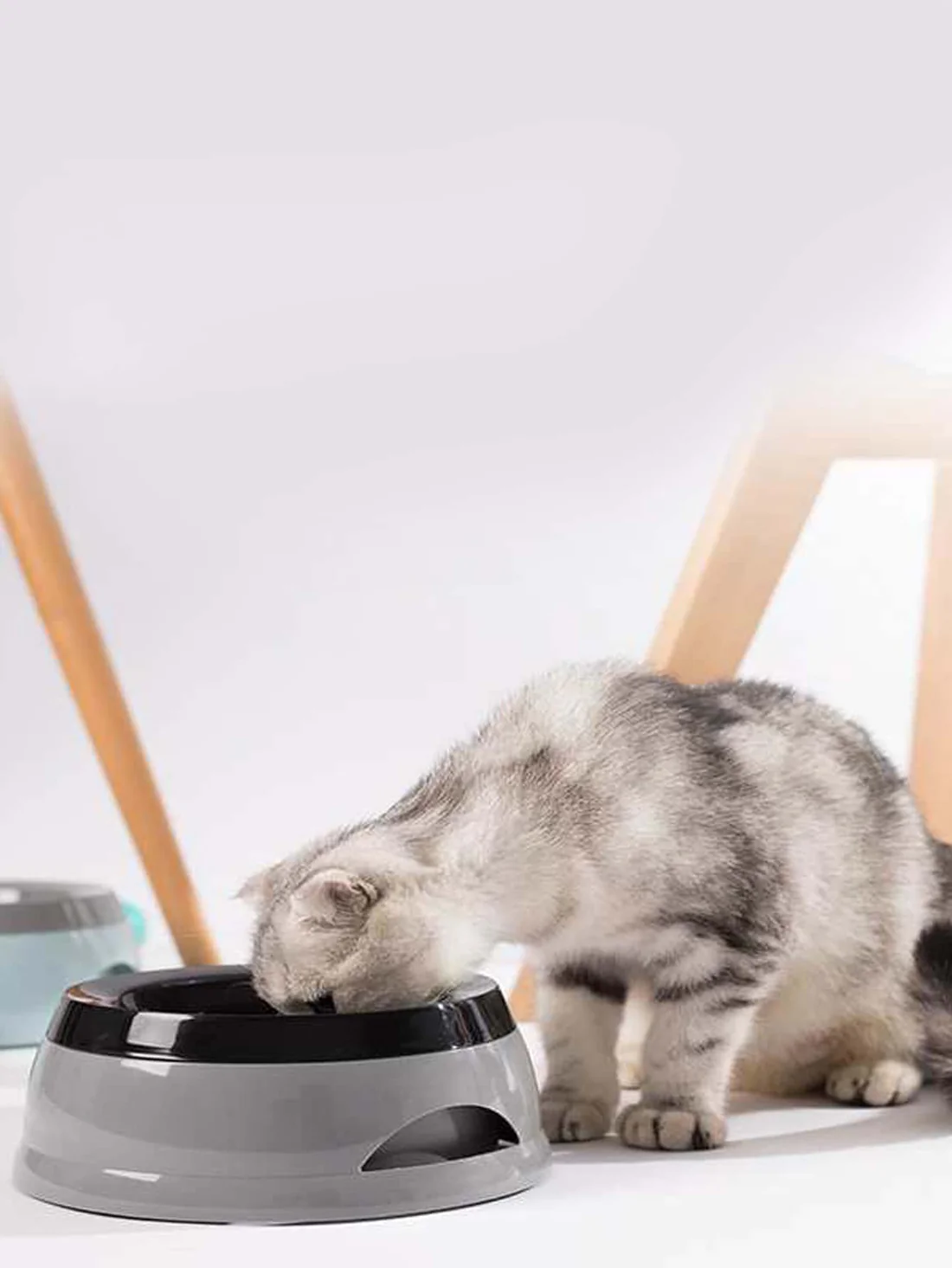 pet water bowl for traveling and cars, anti skid & anti splash & non wet mouth & non spill for dogs and cats
