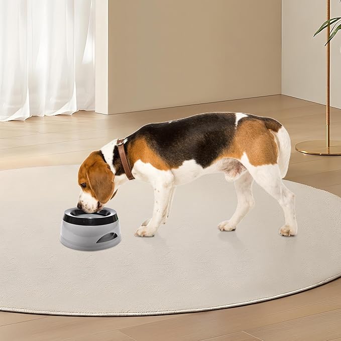 pet water bowl for traveling and cars, anti skid & anti splash & non wet mouth & non spill for dogs and cats